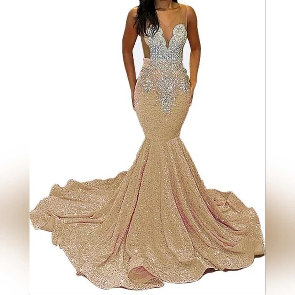 Elegant Cream/Beige and Silver Evening Gown